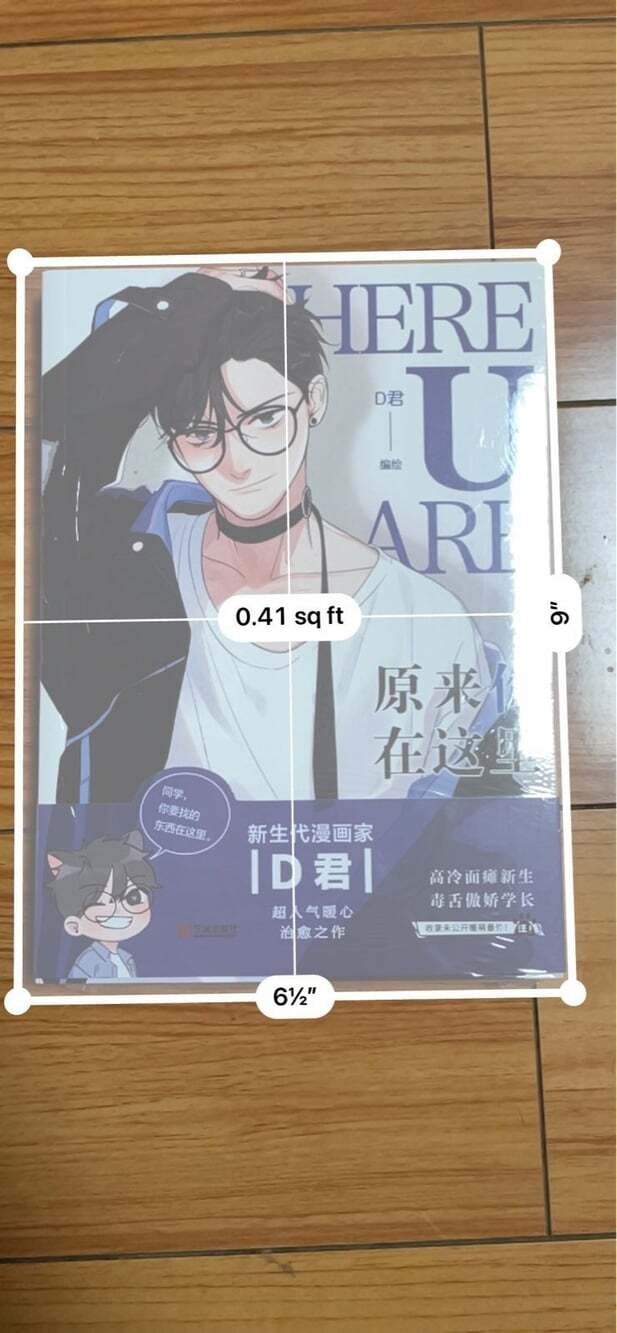 BL/ yaoi Here u Are book